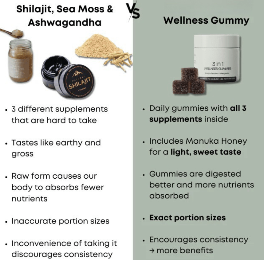 Shilajit 3 - in - 1 Gummies for Men - Zelara